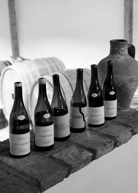 Gutschein: Reise durch Europa – Alle Klassiker im Glas