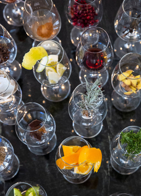 Duftsensorik – Aromen erkennen und Weine beschreiben