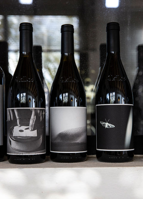 Länderkurs Spanien – Weinland von Klassik bis New Wave