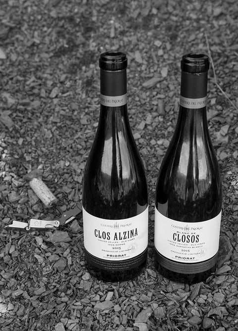 Länderkurs Spanien – Weinland von Klassik bis New Wave